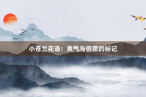 小苍兰花语：爽气与但愿的标记