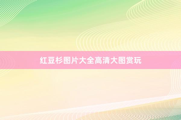 红豆杉图片大全高清大图赏玩